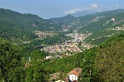 Al Perello sul sent. CAI 514 e al Monte Castello da casa, da Zogno il 23 maggio 2019 - FOTOGALLERY